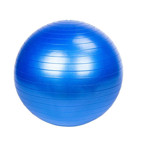 Gym/Household Explosion-proof Thicken Yoga Ball