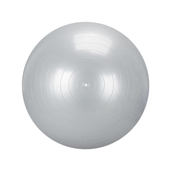 Gym/Household Explosion-proof Thicken Yoga Ball