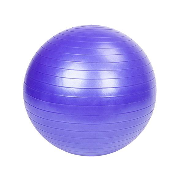 Gym/Household Explosion-proof Thicken Yoga Ball