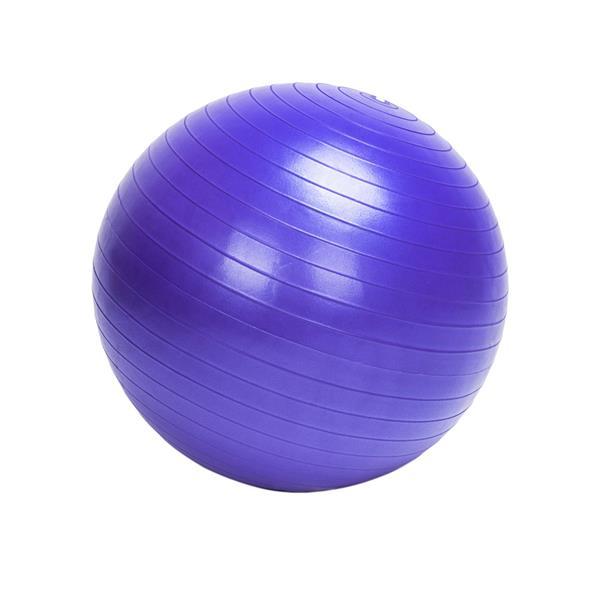 Gym/Household Explosion-proof Thicken Yoga Ball