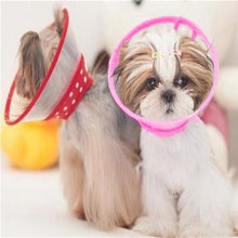 Load image into Gallery viewer, Puppy Pet Dog Cat Comfy Cone Neck Collar Anti-Bite Medical Recovery Protection - MomProStore 