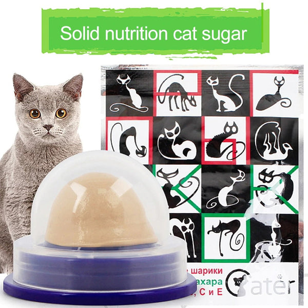 Healthy Cat Snacks Sugar Candy