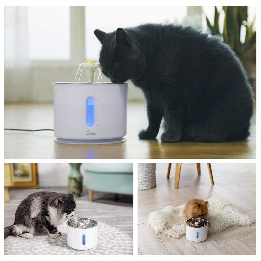 Pet Water Fountain - MomProStore 