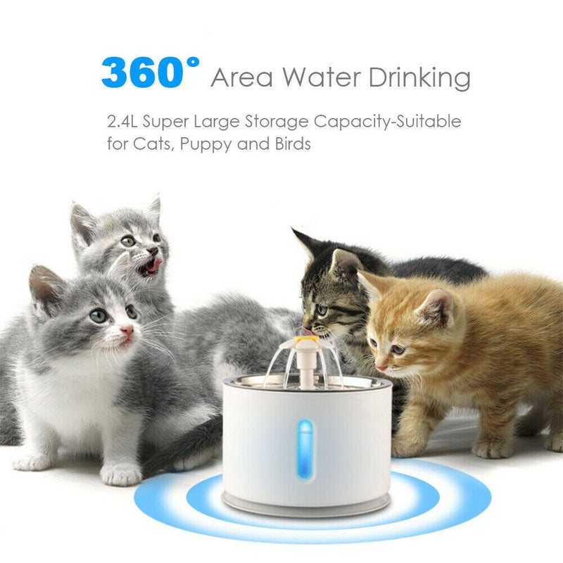 Pet Water Fountain - MomProStore 