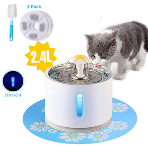 Pet Water Fountain - MomProStore 