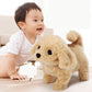 Huggable Electric Plush Pet Toy Dog