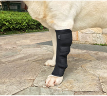 Load image into Gallery viewer, Protective Dog Hock Brace - MomProStore 