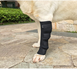 Protective Dog Hock Brace - MomProStore 