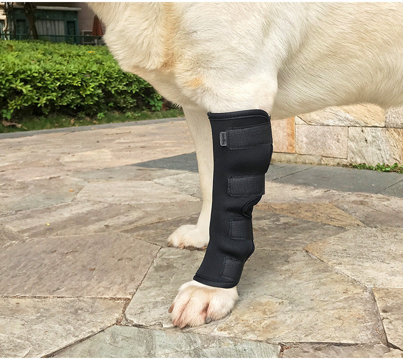 Protective Dog Hock Brace - MomProStore 