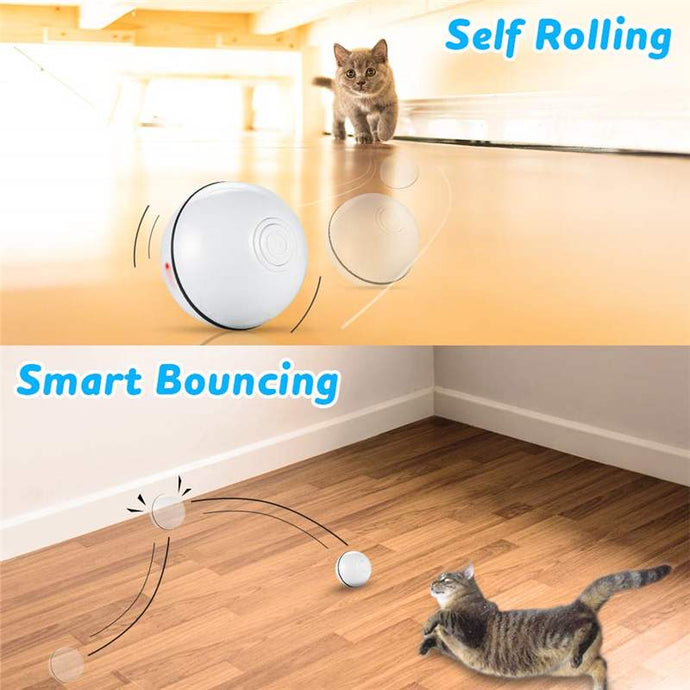 Led USB Smart Rolling Ball Pet Toy For Cats & Dogs - MomProStore 