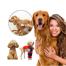 Load image into Gallery viewer, Professional Pet Hair Trimmer Animal Grooming Clippers Dog shaver