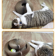 Load image into Gallery viewer, Foldable Cat Toy Best Cat Owner Toy