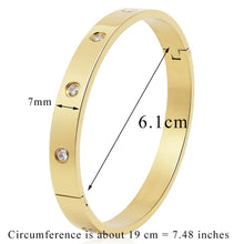 Load image into Gallery viewer, Stainless Steel Bangles Cubic Zirconia Golden Jewelry Gifts