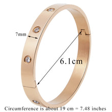 Load image into Gallery viewer, Stainless Steel Bangles Cubic Zirconia Golden Jewelry Gifts