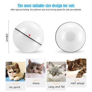 Led USB Smart Rolling Ball Pet Toy For Cats & Dogs - MomProStore 