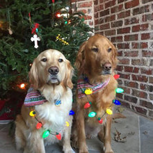 Load image into Gallery viewer, Christmas glowing led bulb necklace