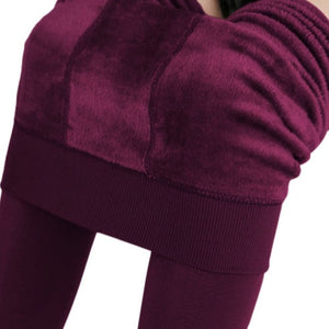 Translucent Winter Stretchy Leggings Velvet