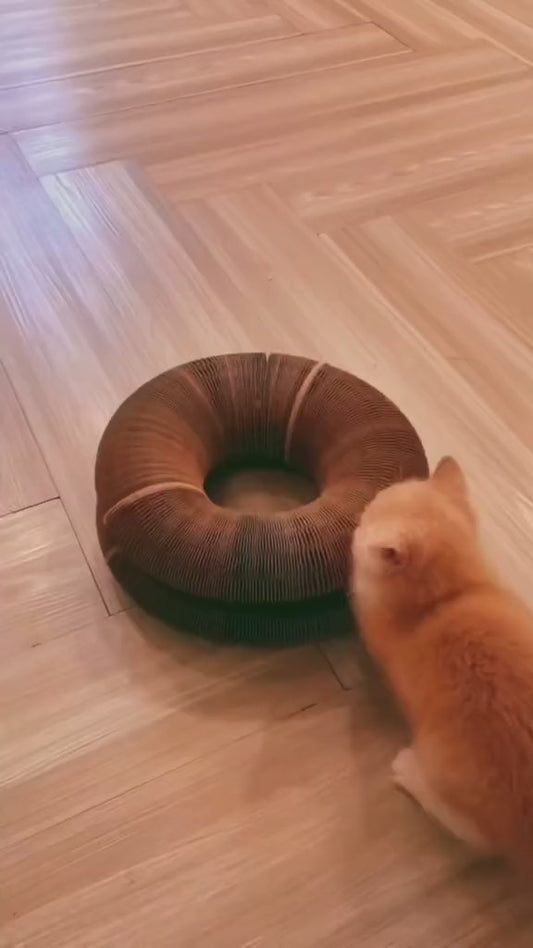 Foldable Cat Toy Best Cat Owner Toy