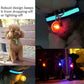 LED Lights Glowing Collar Pendant For Dog