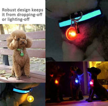 Load image into Gallery viewer, LED Lights Glowing Collar Pendant For Dog