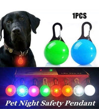 Load image into Gallery viewer, LED Lights Glowing Collar Pendant For Dog