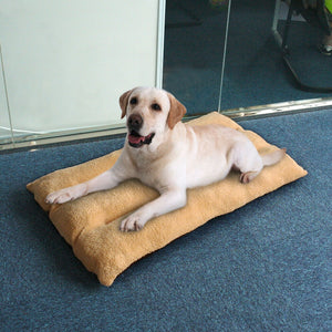 Calming Pet Dog Bed Soft Warm Washable Pillow Puppy Magnet Bed