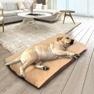 Calming Pet Dog Bed Soft Warm Washable Pillow Puppy Magnet Bed